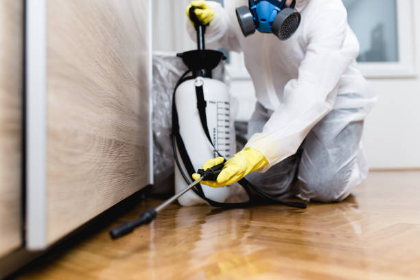 Best Cockroach Control Services  in Rosewood Heights, IL
