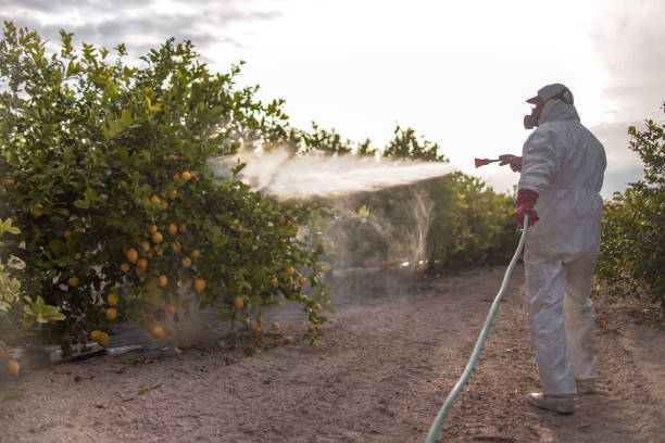 Best Best Pest Control Companies  in Rosewood Heights, IL